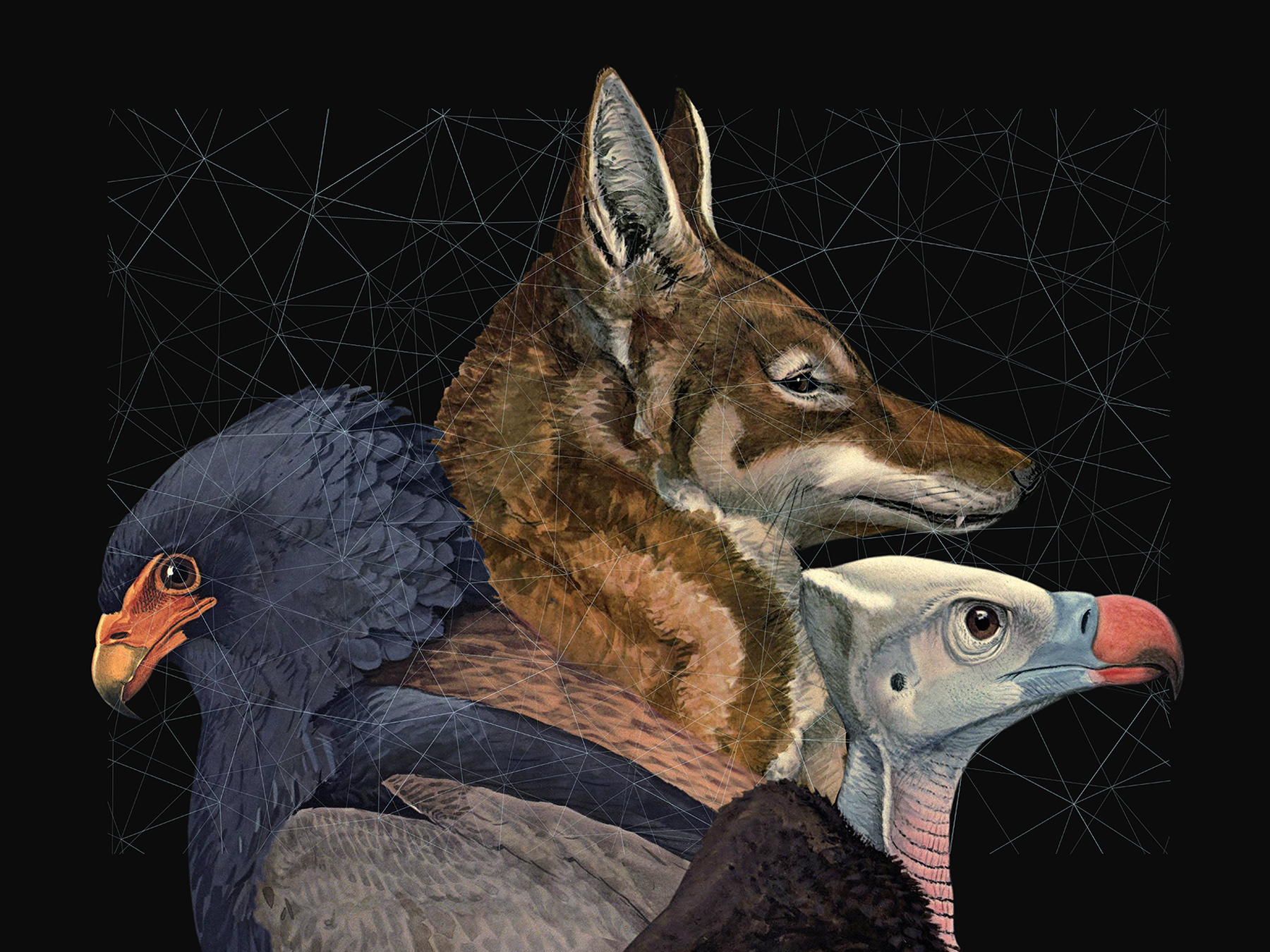 Potentials_more Potentials_more