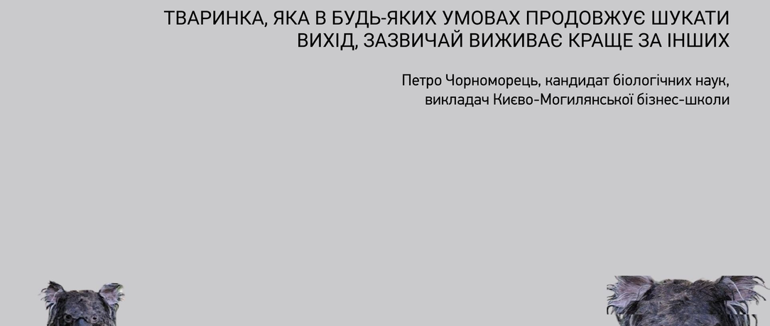 Головні ліки від стресу — дія